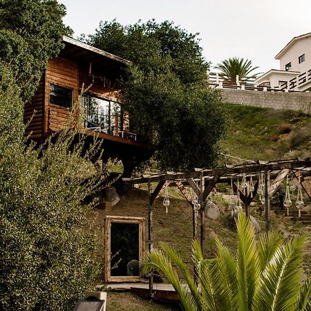 Boskenvid Hotel Boutique, Skypool Valle de Guadalupe Luaran gambar