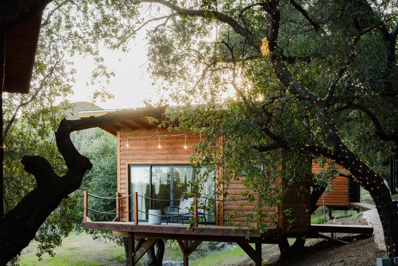 Boskenvid Hotel Boutique, Skypool Valle de Guadalupe Luaran gambar