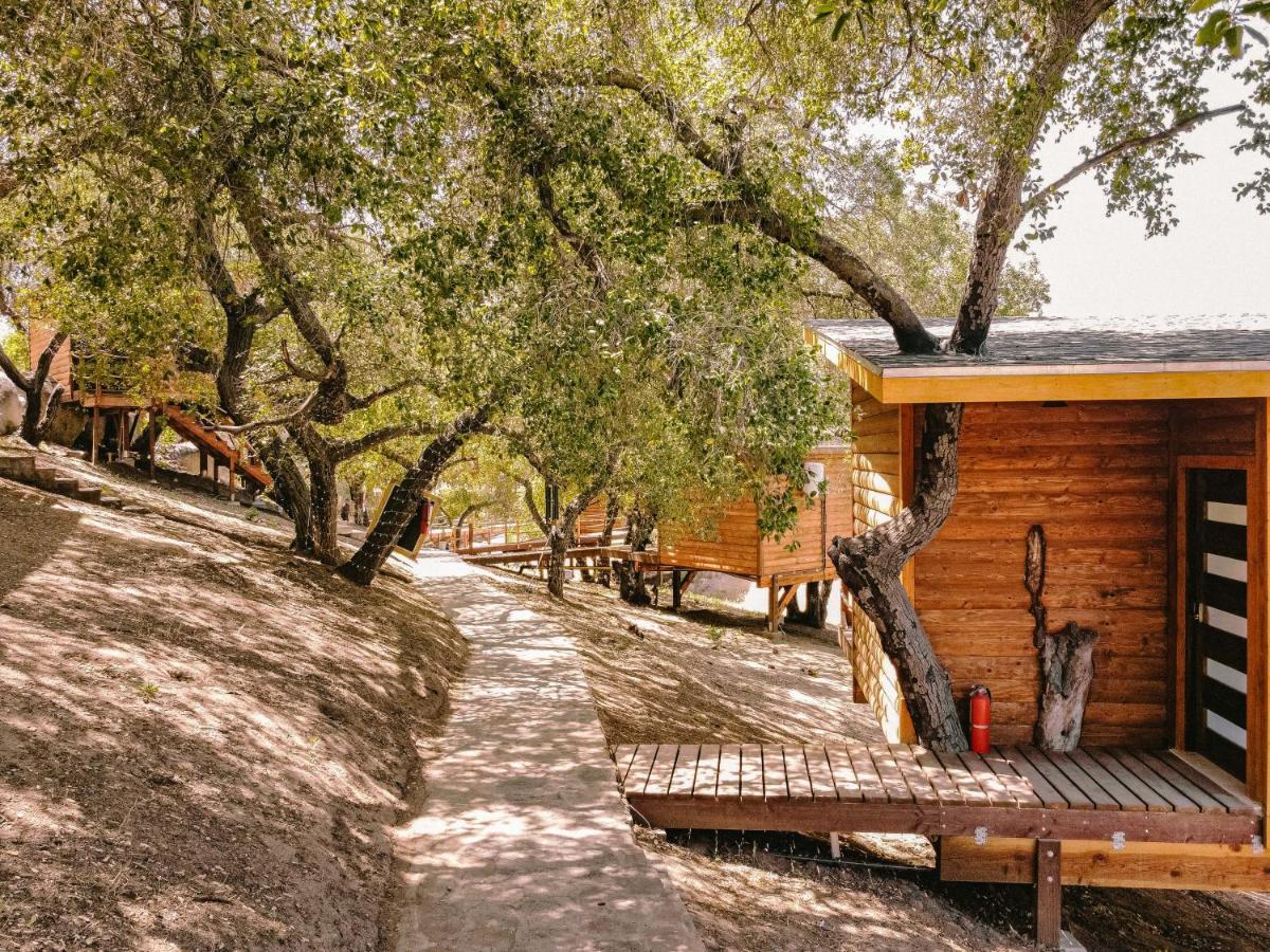 Boskenvid Hotel Boutique, Skypool Valle de Guadalupe Luaran gambar
