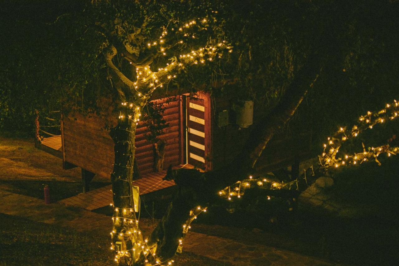 Boskenvid Hotel Boutique, Skypool Valle de Guadalupe Luaran gambar