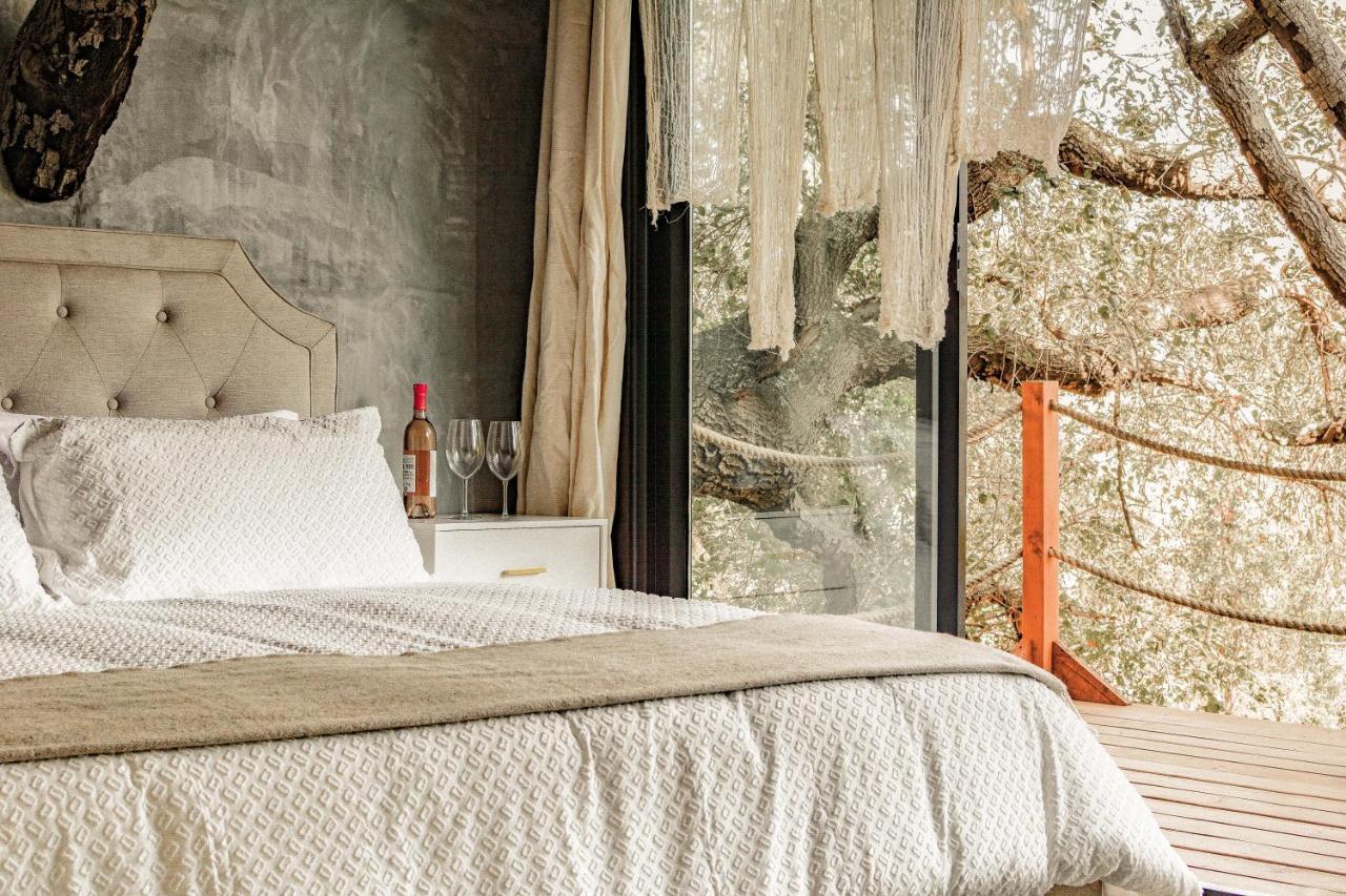 Boskenvid Hotel Boutique, Skypool Valle de Guadalupe Luaran gambar