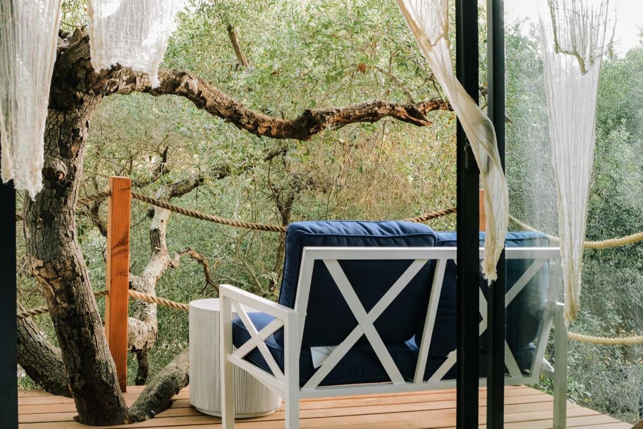 Boskenvid Hotel Boutique, Skypool Valle de Guadalupe Luaran gambar