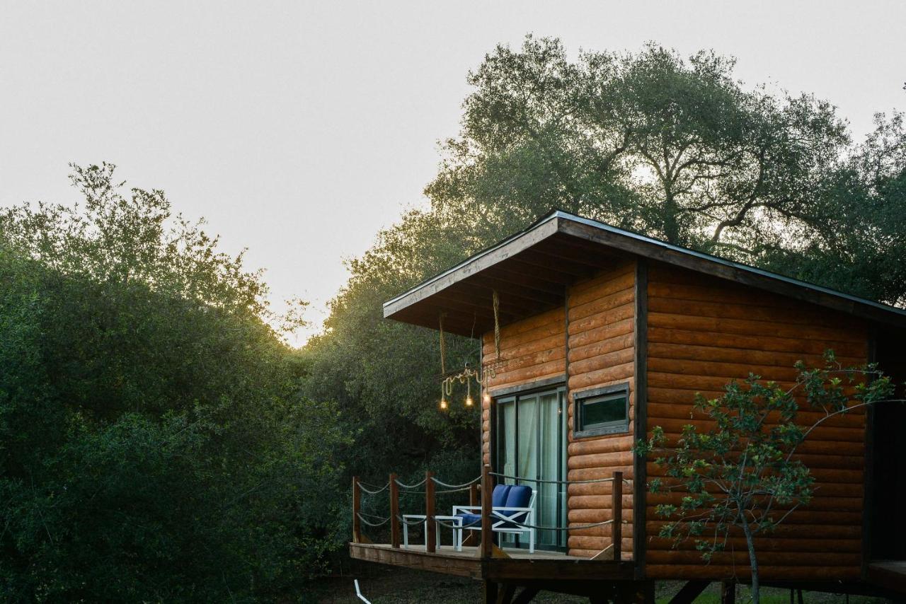 Boskenvid Hotel Boutique, Skypool Valle de Guadalupe Luaran gambar