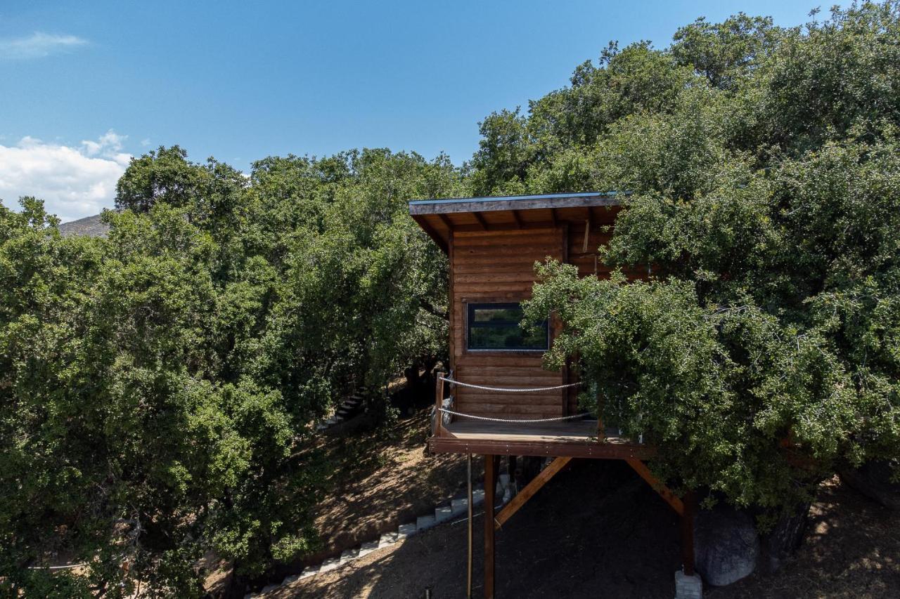 Boskenvid Hotel Boutique, Skypool Valle de Guadalupe Luaran gambar